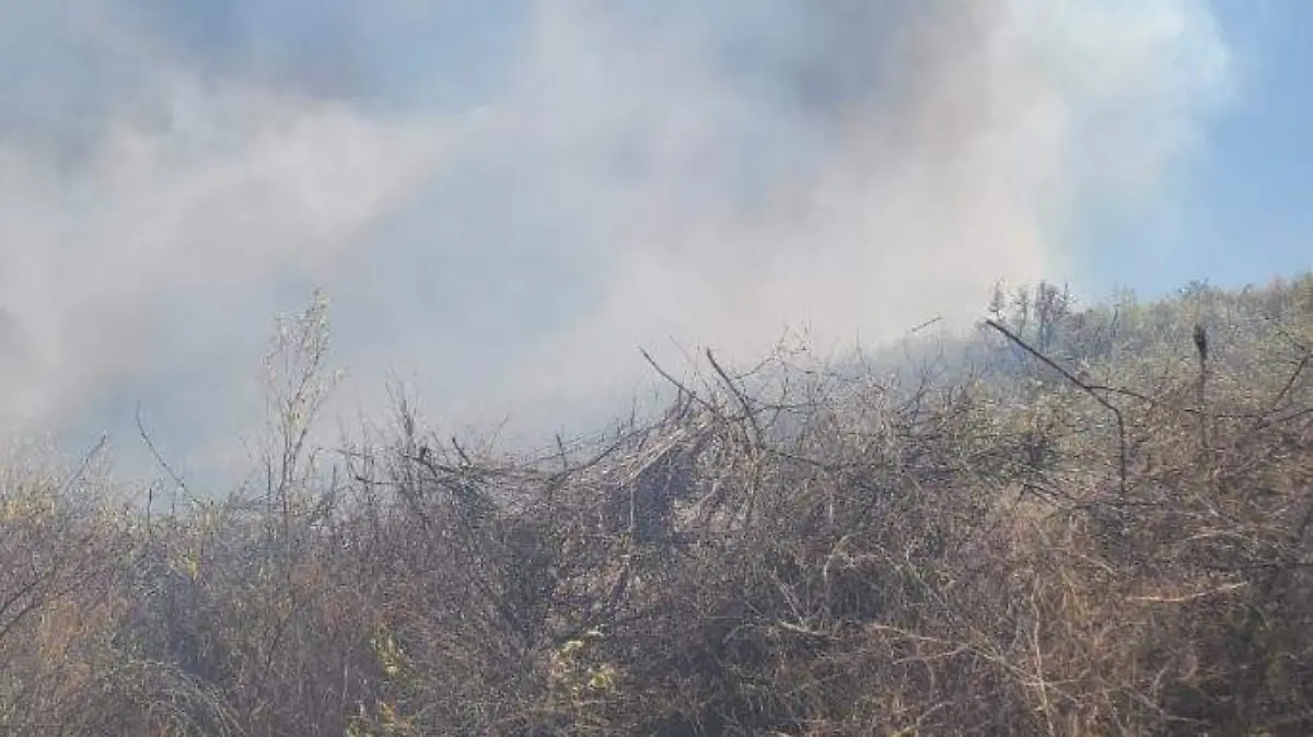 Incendio Cerro Viejo